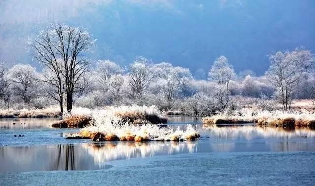 畅谈心情,尽在雪糕刺客明明那么多,为什么偏偏钟薛高能频繁登上热搜?